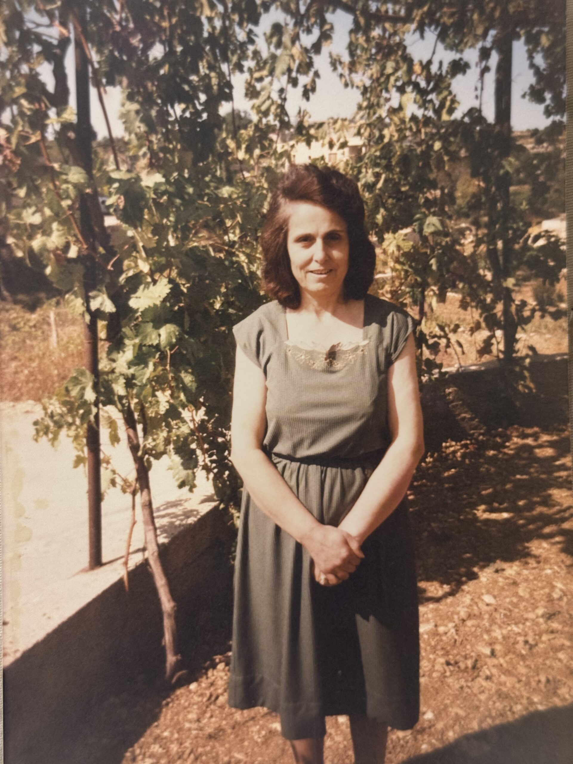 42e69dc14224185932c0468b8b5f7633ca65fd8b