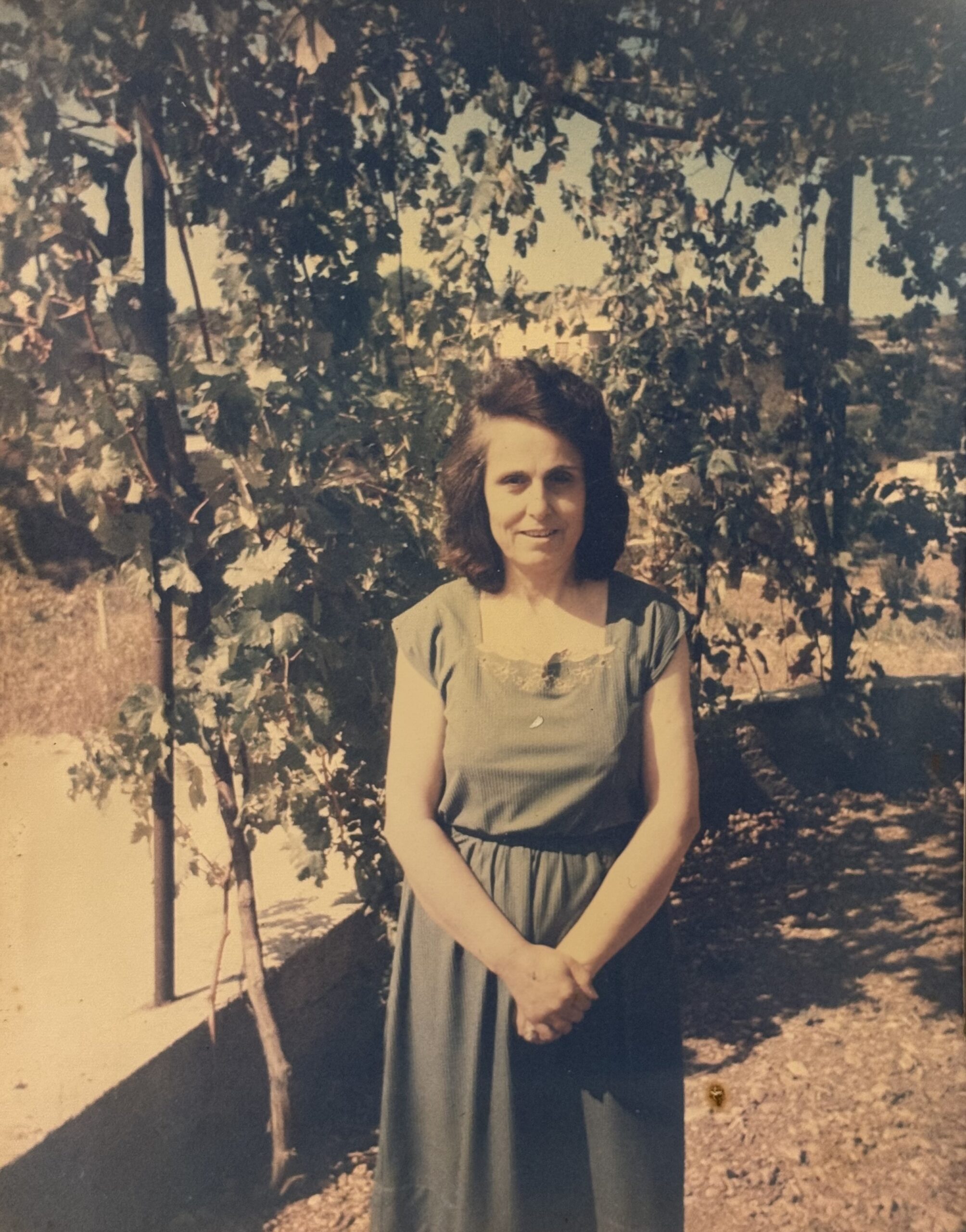 b3ea77aa9de45b3dce1c493c543db123e476adcf